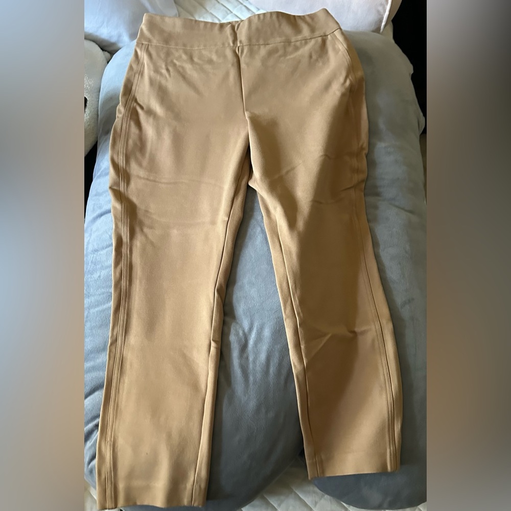 Express Khaki columnist pant (curvy fit) high rise